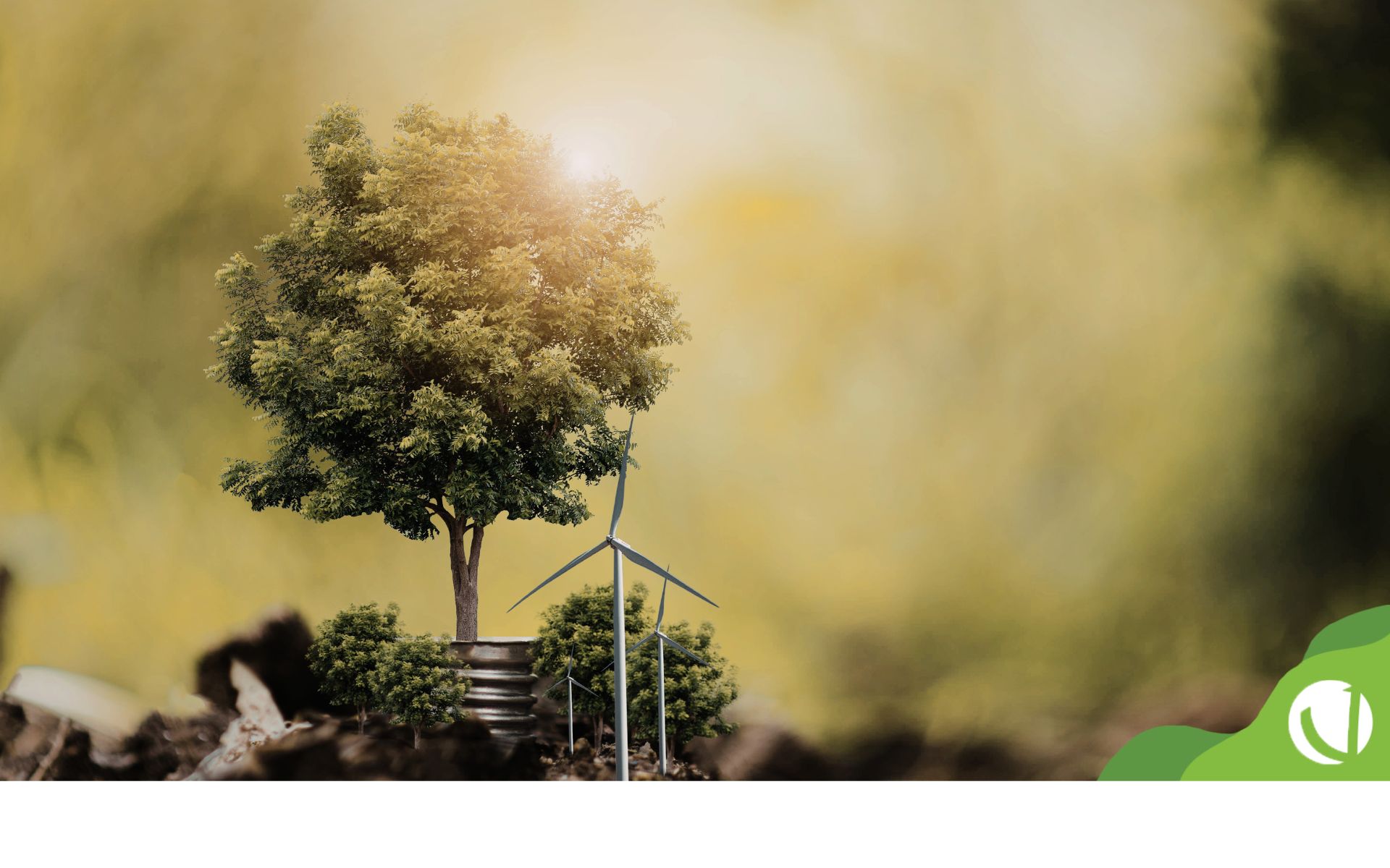 Sustentabilidade na escola vai além de projetos pontuais. Veja como integrar essa cultura beneficia alunos, famílias e a gestão da instituição.